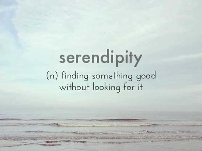 8 serendipity